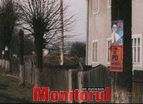 Afișe electorale bătute în cuie, pe trunchiurile copacilor