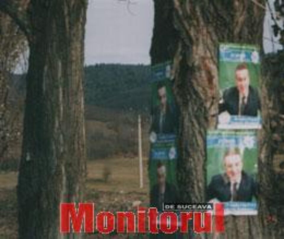 Afişe electorale fixate cu cuie pe copaci