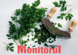 Pătrunjelul, antioxidant și antialergic