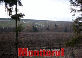 Terenurile de la Casa de Oaspeți nu au căutare