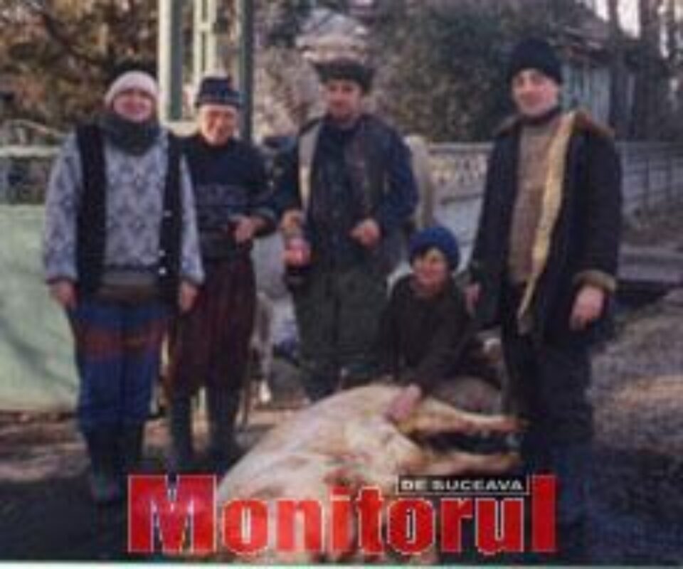 DSV va verifica dacă țăranii își împușcă porcii