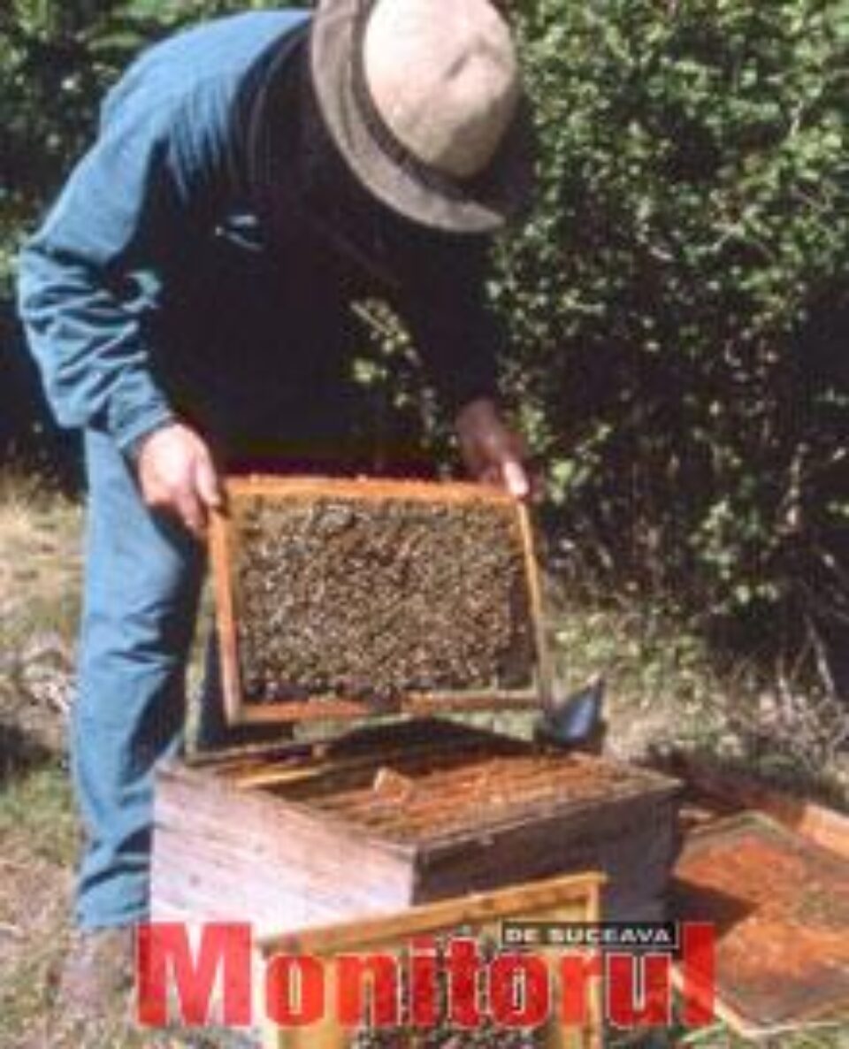 Din presa de altadata Din presa de altadata