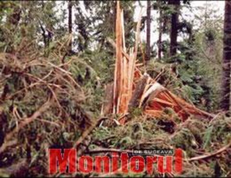 Din presa de altadata Din presa de altadata