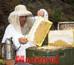 S-a raportat de două ori mai multă miere decât s-a produs