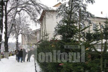 Brazii autohtoni, căutați tot mai puțin 1