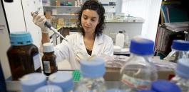 Cercetare în genetică: Celulele sușă: o descoperire echivalentă cu "a schimba plumbul în aur"