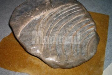 Lucrare realizată în sare de sculptorul Mircea Dăneasă