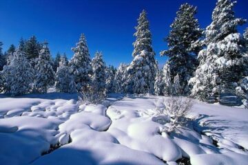 Aproape toate traseele montane sunt deschise pentru accesul pietonal.