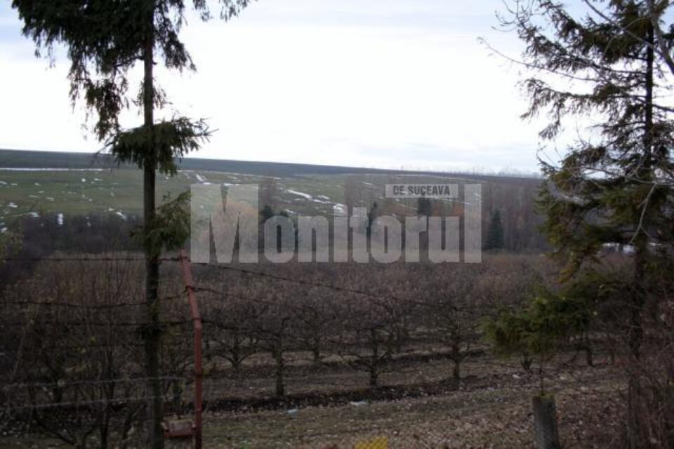 Tranzacții: Terenurile de la Casa de Oaspeți au căutare