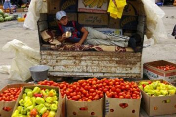 Producătorii de tomate ar putea primi subvenții de 400 de lei pe tonă