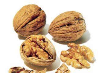 Nucleoterapia: Terapia cu miez de sâmbure
