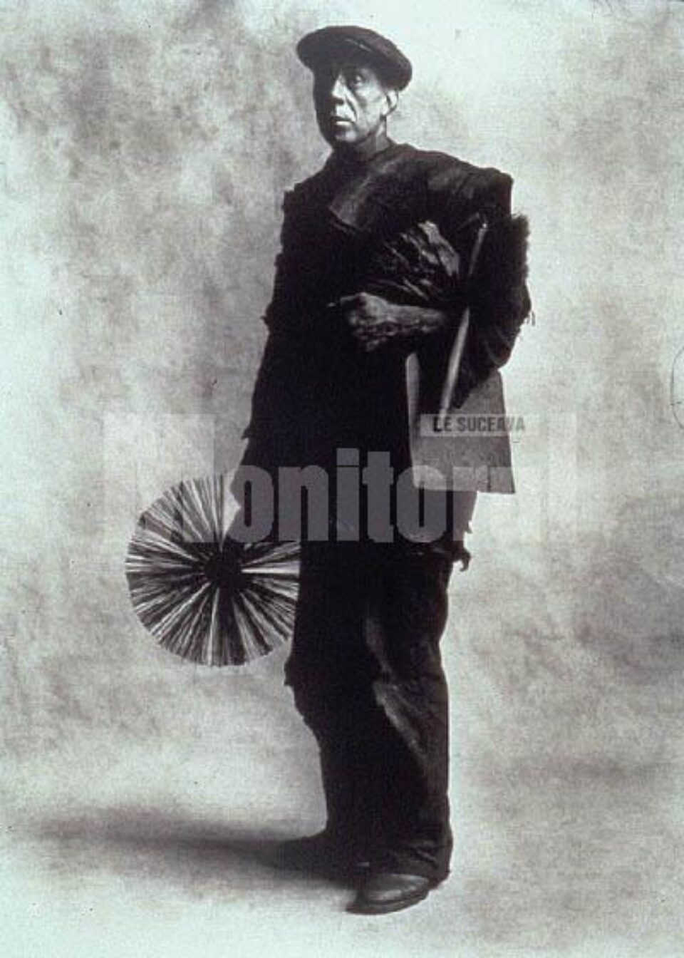 Simbolul norocului: „Mi-a ieșit coșaru-n drum...”