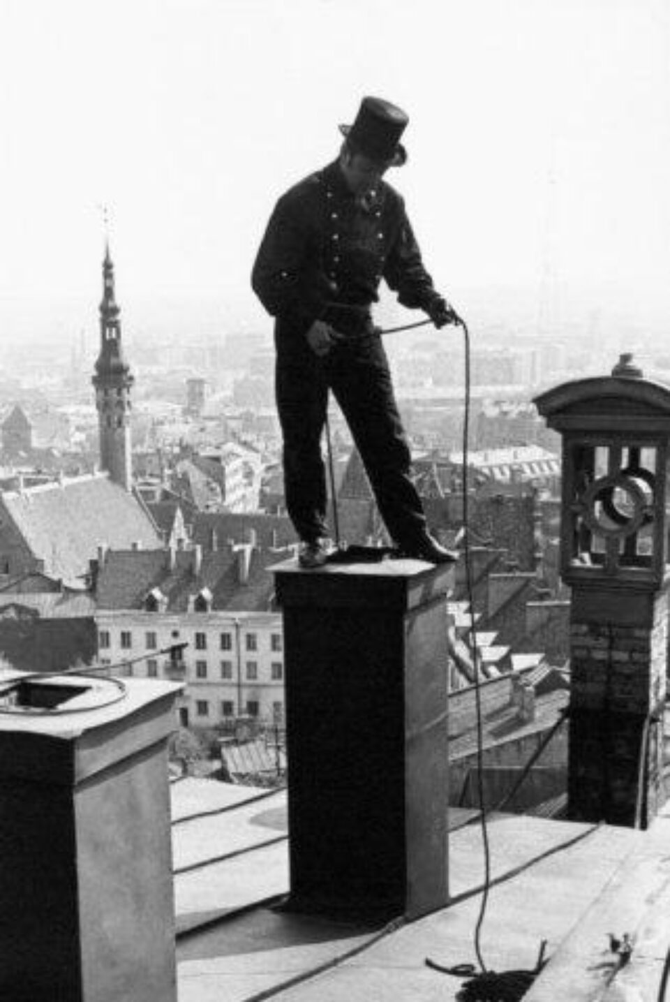 Simbolul norocului: „Mi-a ieșit coșaru-n drum...”