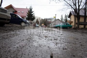 Mlaștina de pe strada Ștefan Tomșa