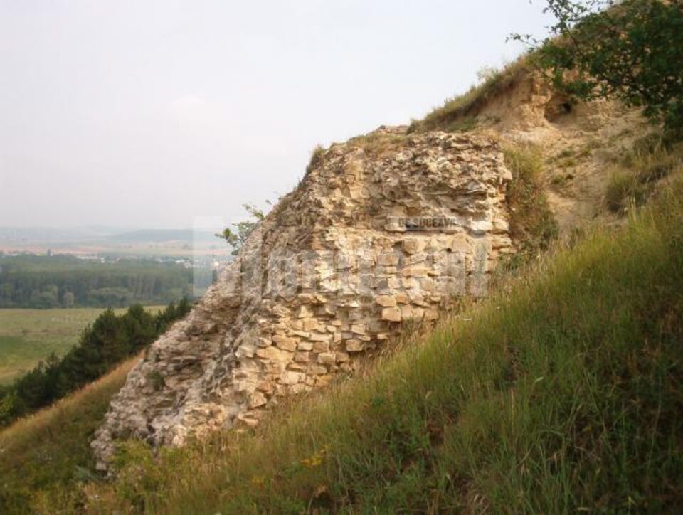 Cetatea Șcheia