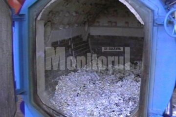 Cuptorul în care animalele moarte sunt incinerate