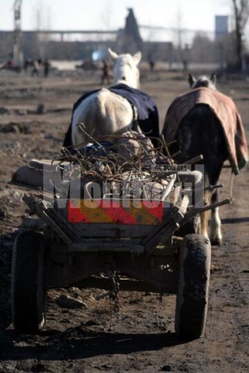 Atracția banului: Ruinele ROMUPS, invadate de căutătorii de “comori”