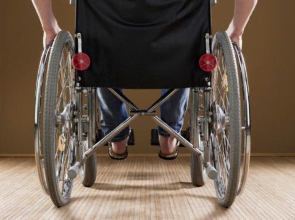 In căutarea mamei In căutarea mamei