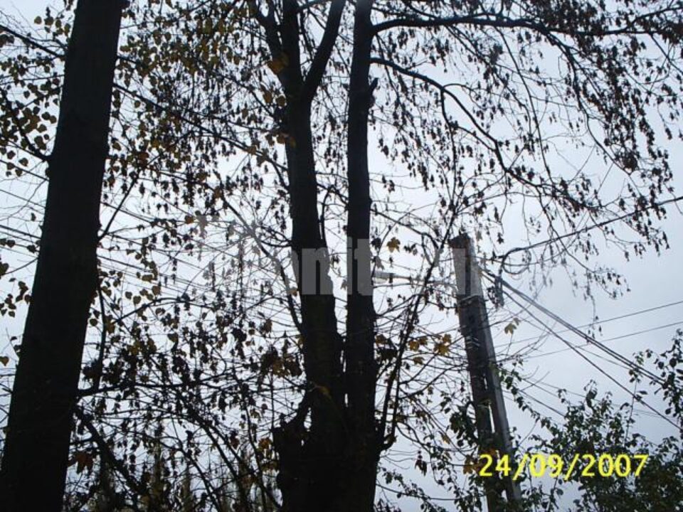 Vântul a provocat avarii pe liniile de medie și înaltă tensiune Vântul a provocat avarii pe liniile de medie și înaltă tensiune