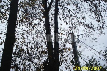 Vântul a provocat avarii pe liniile de medie și înaltă tensiune