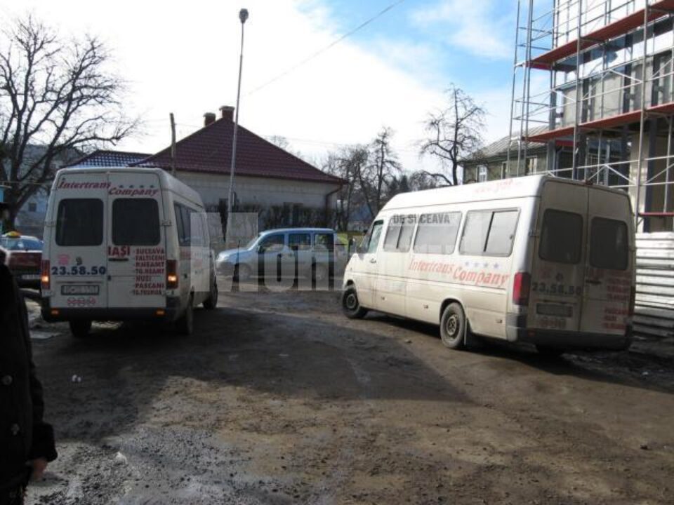 Microbuzele Intertrans staționează pe domeniul public