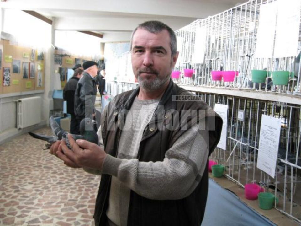 Președintele Asociației Columbofile Județene Suceava, Filip Vladi