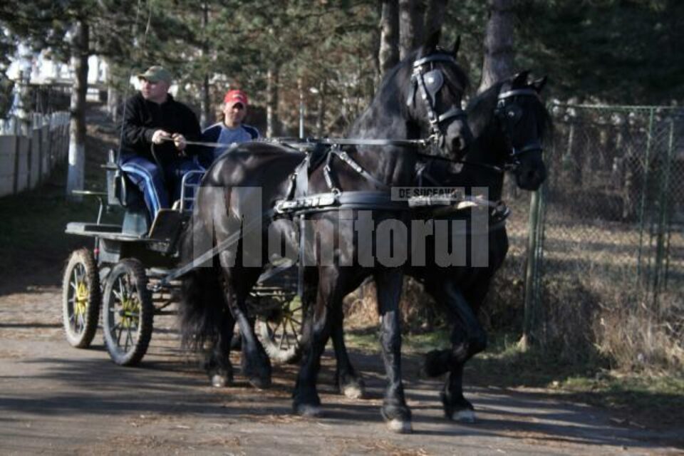 Suceava 620: Cetatea se pregătește de asediu