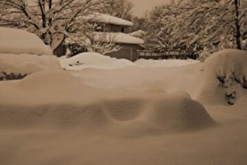 07 Februarie