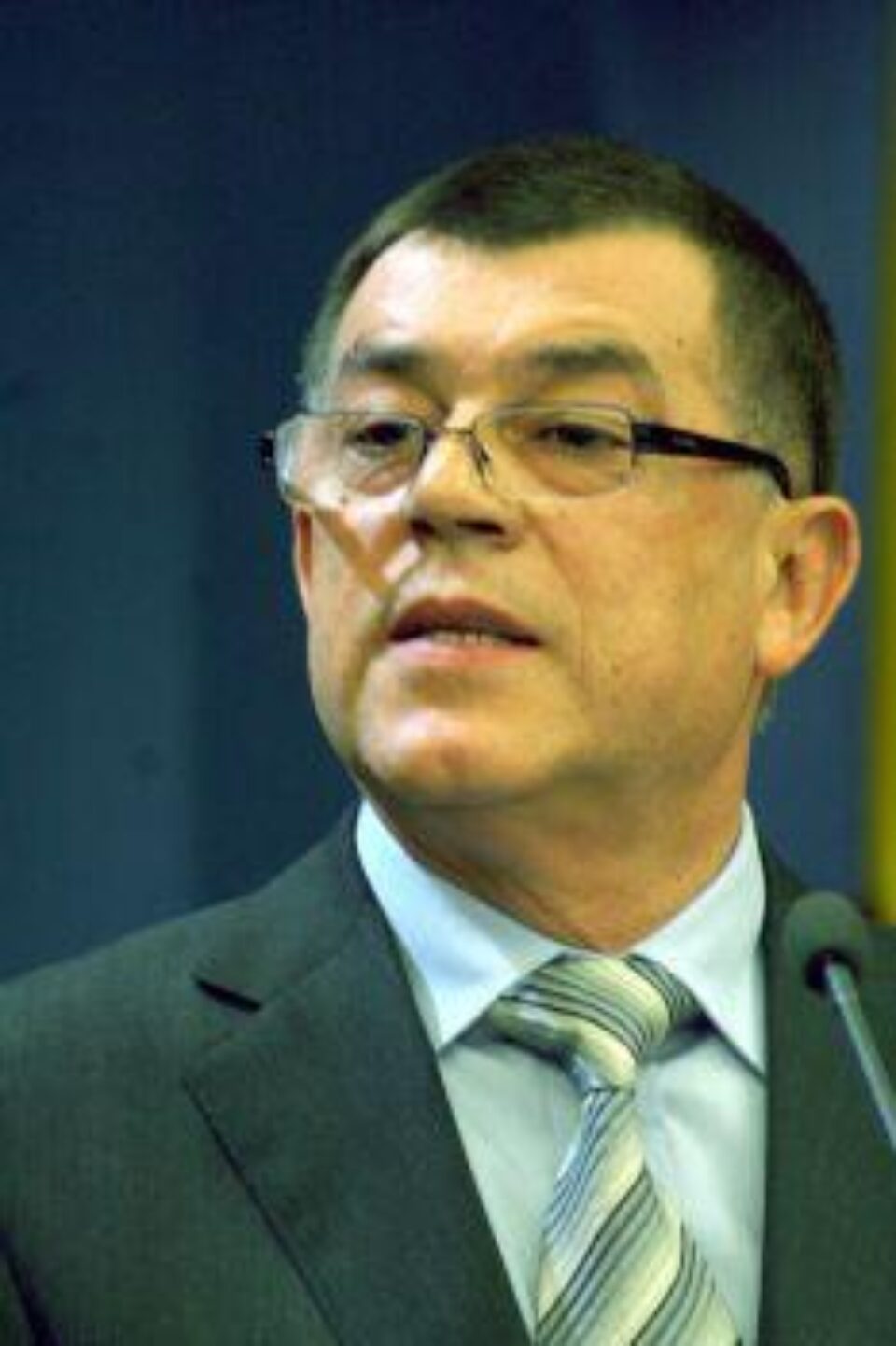 Liberalii i-au propus pe Teodor Meleșcanu la Justiție și pe Radu Stroe la Apărare