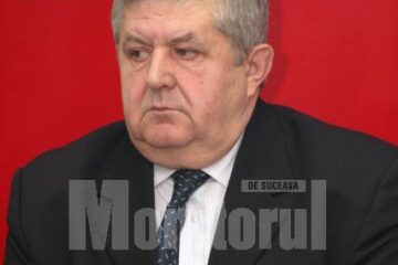 Reacții: Mîrza: „PD-L arată că nu are candidații proprii pentru funcțiile de primar”