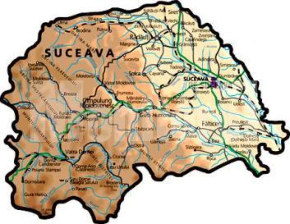 Lansare: Primul batalion de candidați de primar ai PD-L Suceava