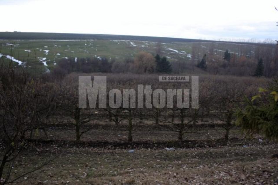Prea scump: Doi cumpărători de la Casa de Oaspeți au renunțat la terenuri