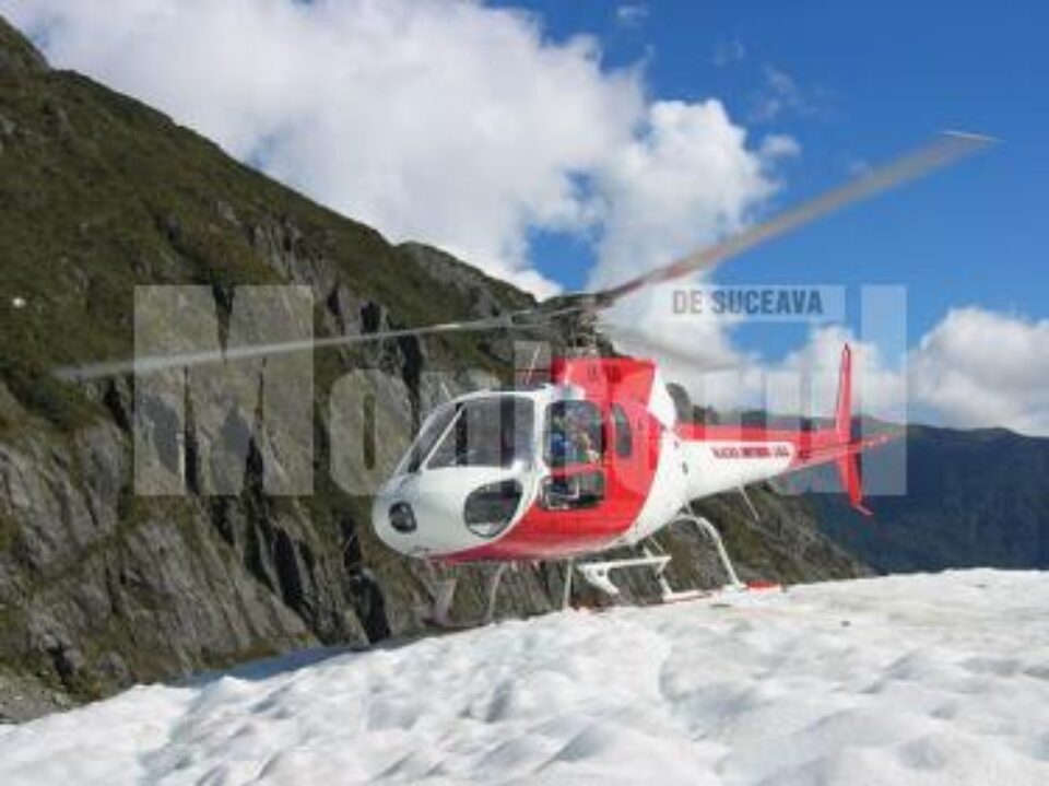 Proiect: Veterinarii apelează la elicoptere pentru a scăpa de vulpile turbate