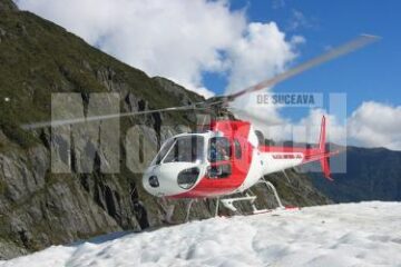 Proiect: Veterinarii apelează la elicoptere pentru a scăpa de vulpile turbate