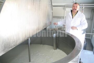 Curaj: Pariu pe vacă