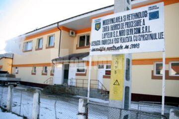 Curaj: Pariu pe vacă