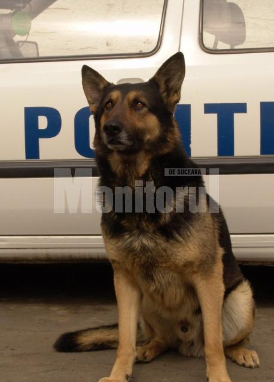 Câinele de urmă Dick