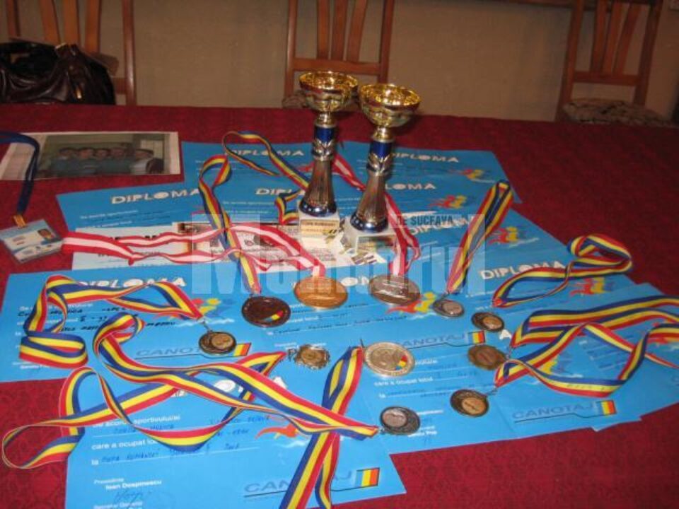 Rezultatele unei munci de 10 ani