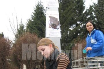 Problema câinilor maidanezi trebuie tratată cu seriozitate