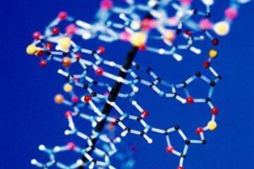 Pe urmele criminalilor: Expertizele genetice - ADN, folosite și la Suceava, în rezolvarea unor crime