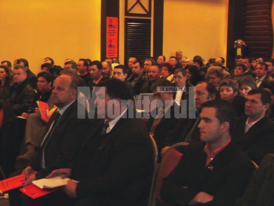 Instruirea s-a desfășurat sub atenta supraveghere a vicepreședintelui PD-L, senatorul Gheorghe Flutur