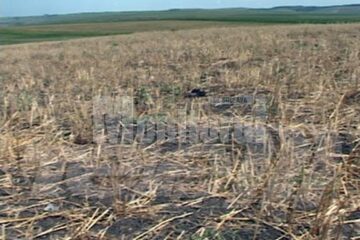 Din ordinul prefectului: Primăriile din județ avertizate asupra arderilor necontrolate la vegetație uscată
