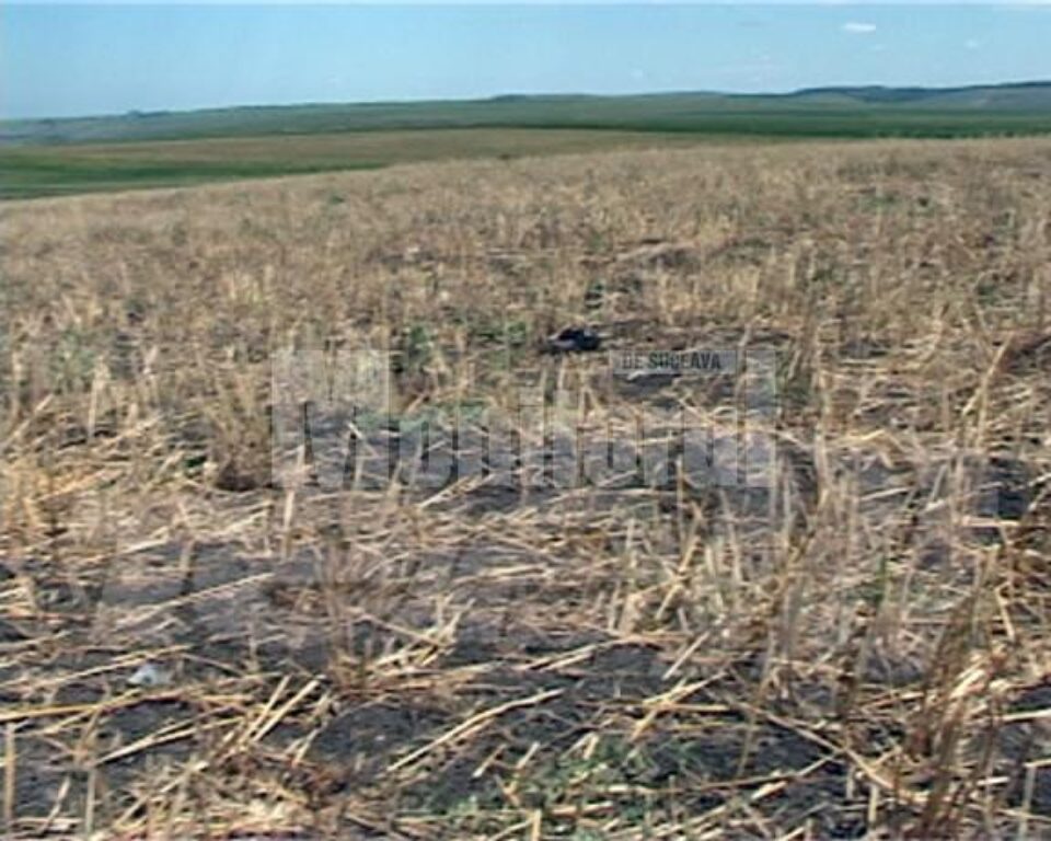 Din ordinul prefectului: Primăriile din județ avertizate asupra arderilor necontrolate la vegetație uscată