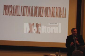 Instruirea s-a desfășurat sub atenta supraveghere a vicepreședintelui PD-L, senatorul Gheorghe Flutur