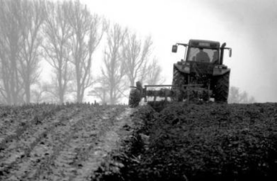 Producătorii agricoli vor cumpăra motorina la preț avantajos