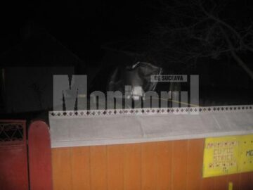 Băgat în mormânt de un „șofer” de 15 ani