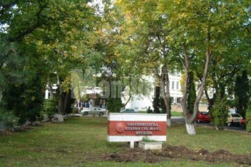 Guvern: Universitatea Suceava va primi teren pentru extinderea noului campus