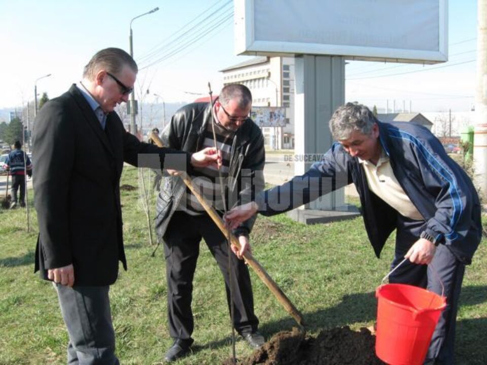 Ziua Gărzii de Mediu: 100 de stejari plantați în zona pasarelei din Burdujeni