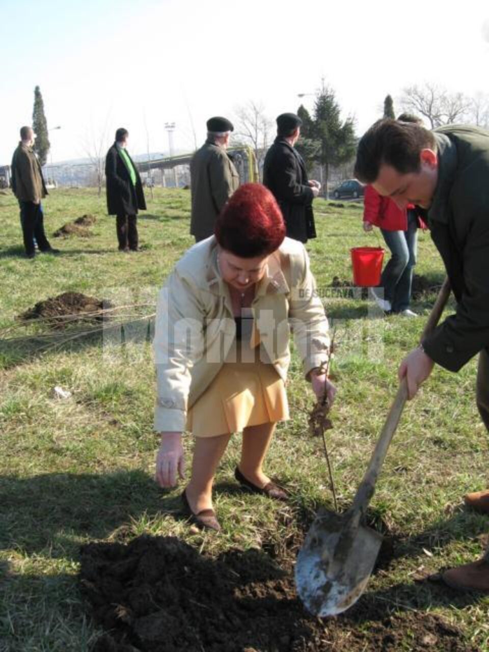 Ziua Gărzii de Mediu: 100 de stejari plantați în zona pasarelei din Burdujeni
