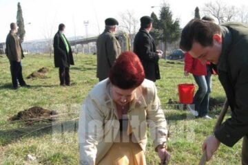 Ziua Gărzii de Mediu: 100 de stejari plantați în zona pasarelei din Burdujeni